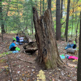 Featured image of article: Mrs. Hill’s Outdoor Classroom