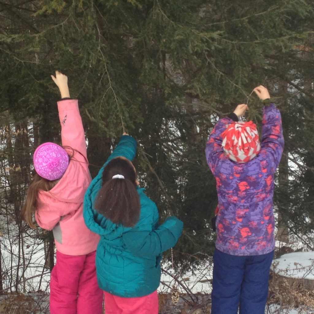 Featured image of article: AES 1st Graders Help Winter Wildlife